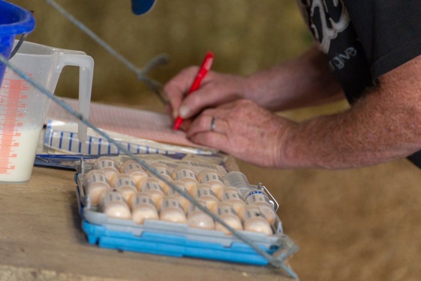 Nach der Lockerung des Lockdowns werden verschiedene Aussendienstliche Angebote wieder aufgenommen. (Bild BauZ)
