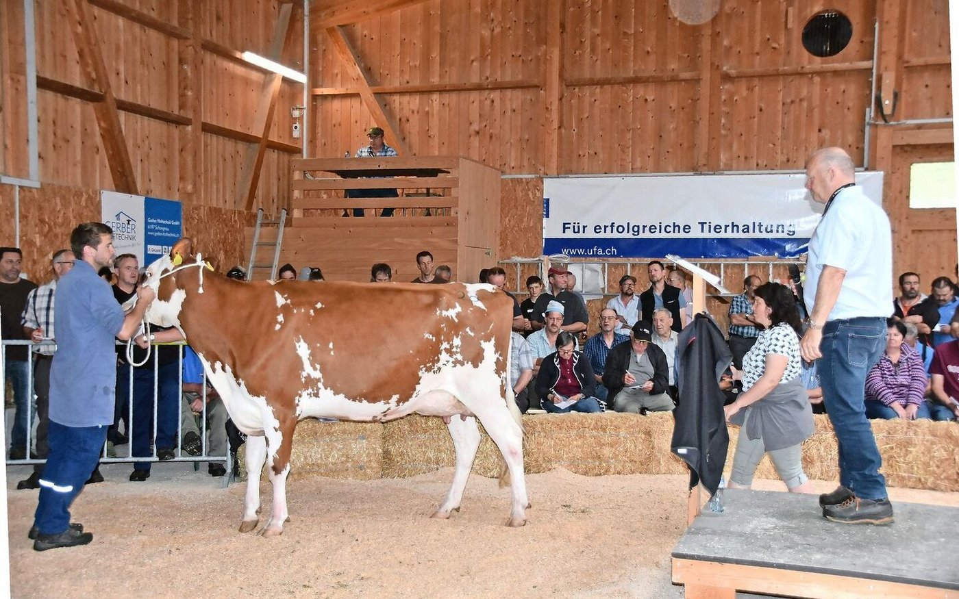 Die schöne Amnesty Greta, angeboten von Reto Fankhauser, Emmenmatt, konnte für 4500 Franken zugeschlagen werden.
