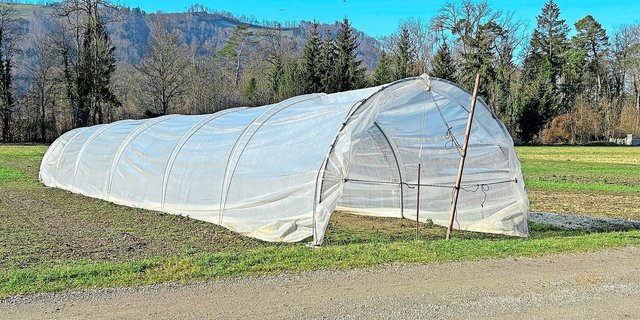 «Leicht versetzbare Bauten» wie Folientunnel unterliegen nicht der gesetzlich genormten Versicherungsregelung und müssen zusätzlich versichert werden.   