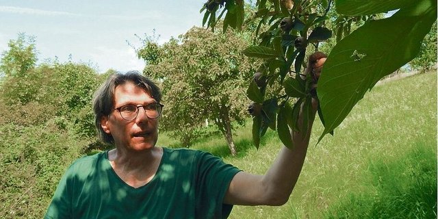 Bruno Muff vom Haldihof in Weggis LU veredelt das Obst der Hochstammbäume zu wertschöpfungsstarken Destillaten und Essig. 