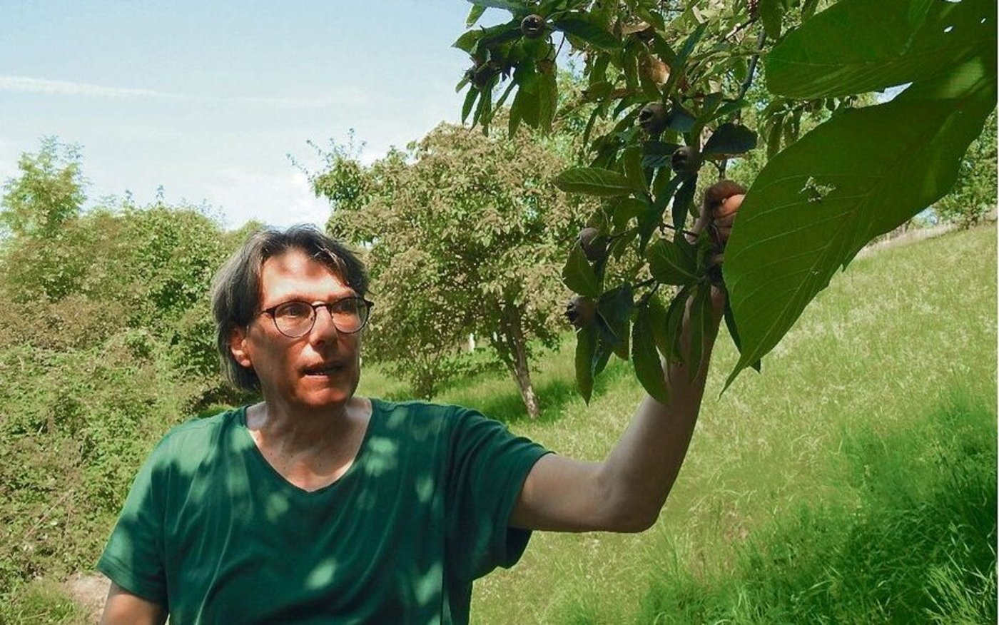 Bruno Muff vom Haldihof in Weggis LU veredelt das Obst der Hochstammbäume zu wertschöpfungsstarken Destillaten und Essig. 