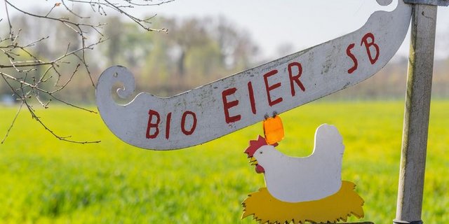 Wichtig ist, neben den nationalen Beschlüssen auch eventuelle kantonale Unterschiede zu beachten. (Bild AKrebs60/Pixabay)