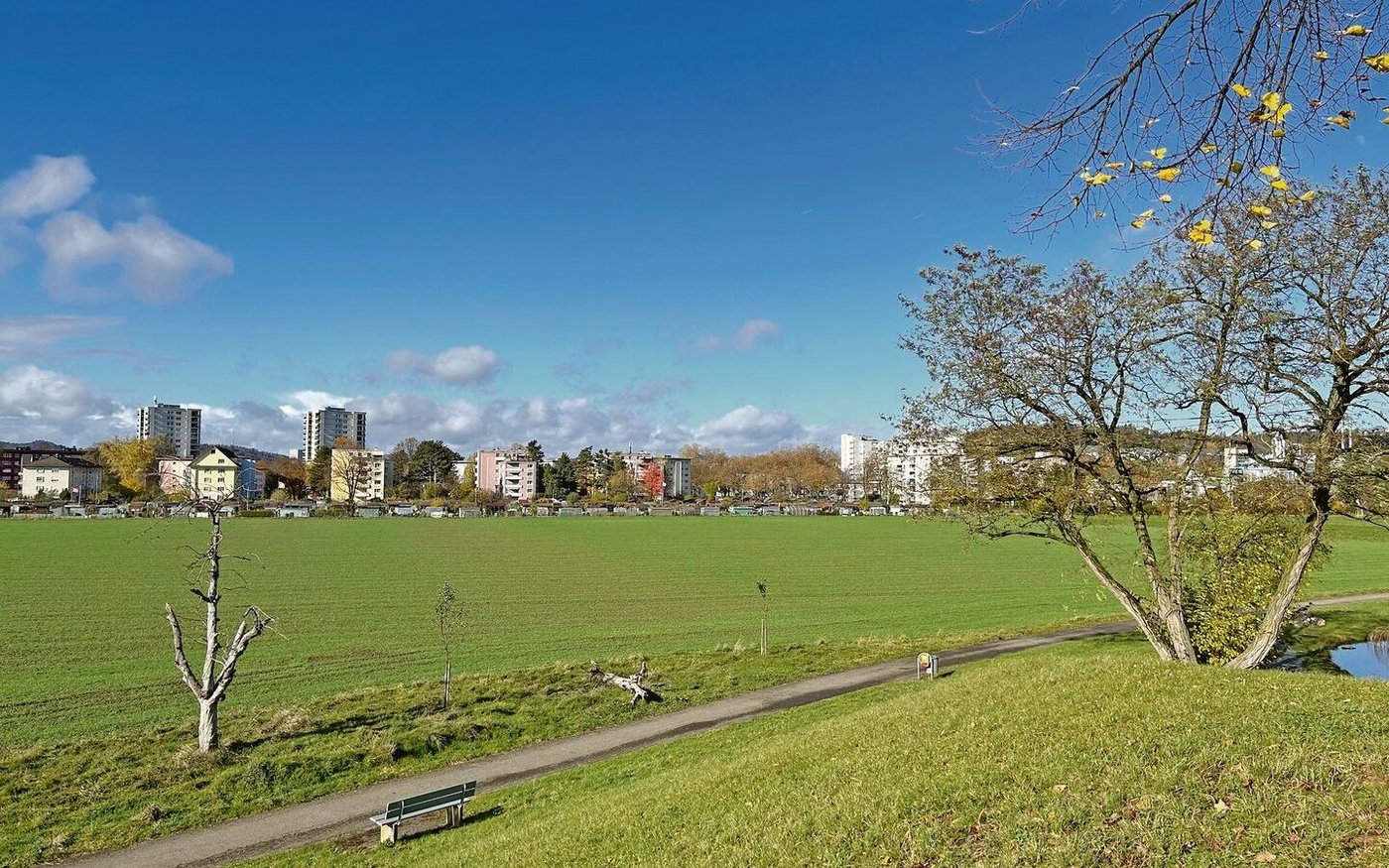 Die Landwirtschaft und die Bauernbetriebe der Stadt Winterthur werden zur Zielscheibe von politischen Vorstössen.  