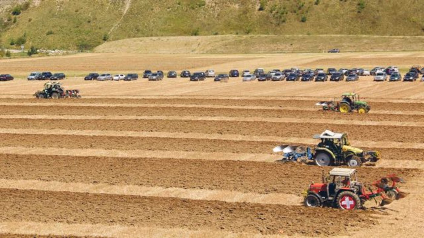 Letztmals fanden 2012 in der Ostschweiz nationale Meisterschaften im Wettpflügen statt – und zwar in Wil im Rafzerfeld. (Bild chw)