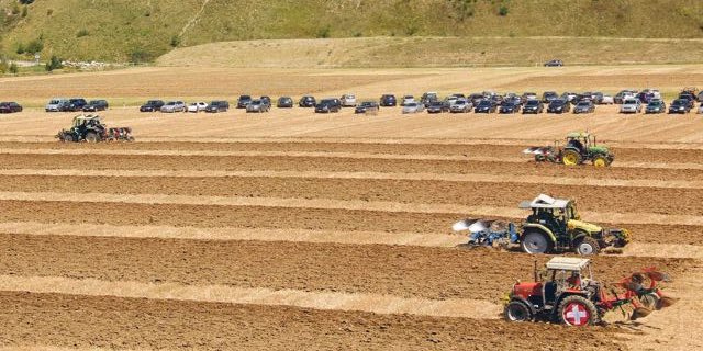 Letztmals fanden 2012 in der Ostschweiz nationale Meisterschaften im Wettpflügen statt – und zwar in Wil im Rafzerfeld. (Bild chw)