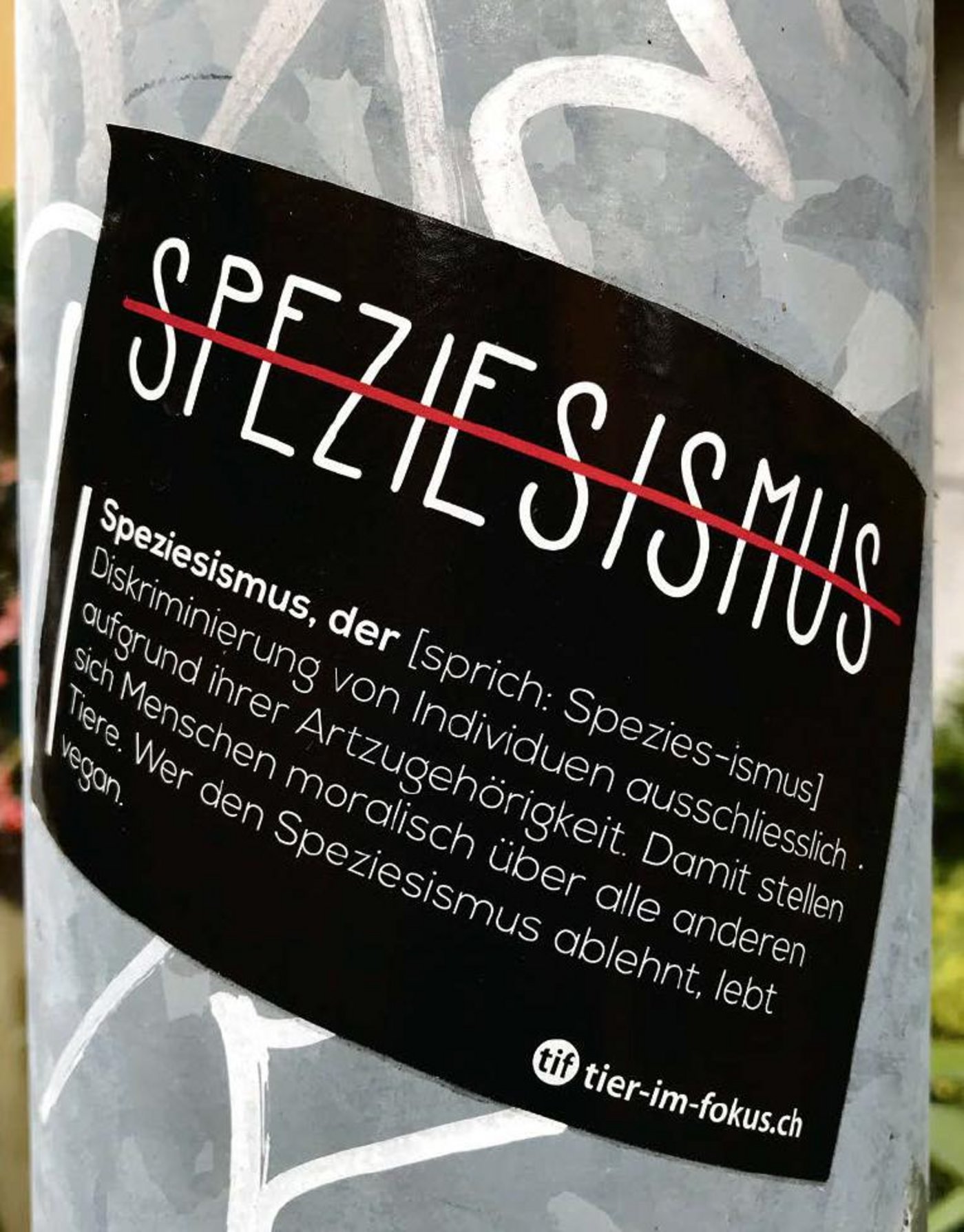 Ideologischer Unterbau für eine notorisch essgestörte Gesellschaft: Begriffe wie «Speziesismus», mit denen die Radikaltierschützer von Tier im Fokus für Veganismus werben. (Bild Adrian Krebs)
