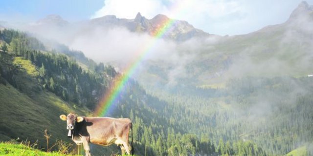 Auf der Alp herrscht nicht immer eitel Sonnenschein, aber auch hier gilt: Nach dem Regen folgt irgendwann wieder die Sonne.  Mit dem Unterschied, dass in den Bergen oben alles etwas intensiver, unmittelbarer und dadurch eindrücklicher ist. (Bild Andrea Gysin)