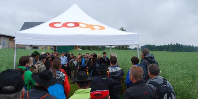 Betriebsleiter Urs Knecht informiert über den Rapsanbau. Dieses Jahr hat er keine Rapsglanzkäferbekämpfung durchgeführt. "Eine schöne Visitenkarte, aber nicht Standard", erklärt er. (Bilder Katharina Scheuner)