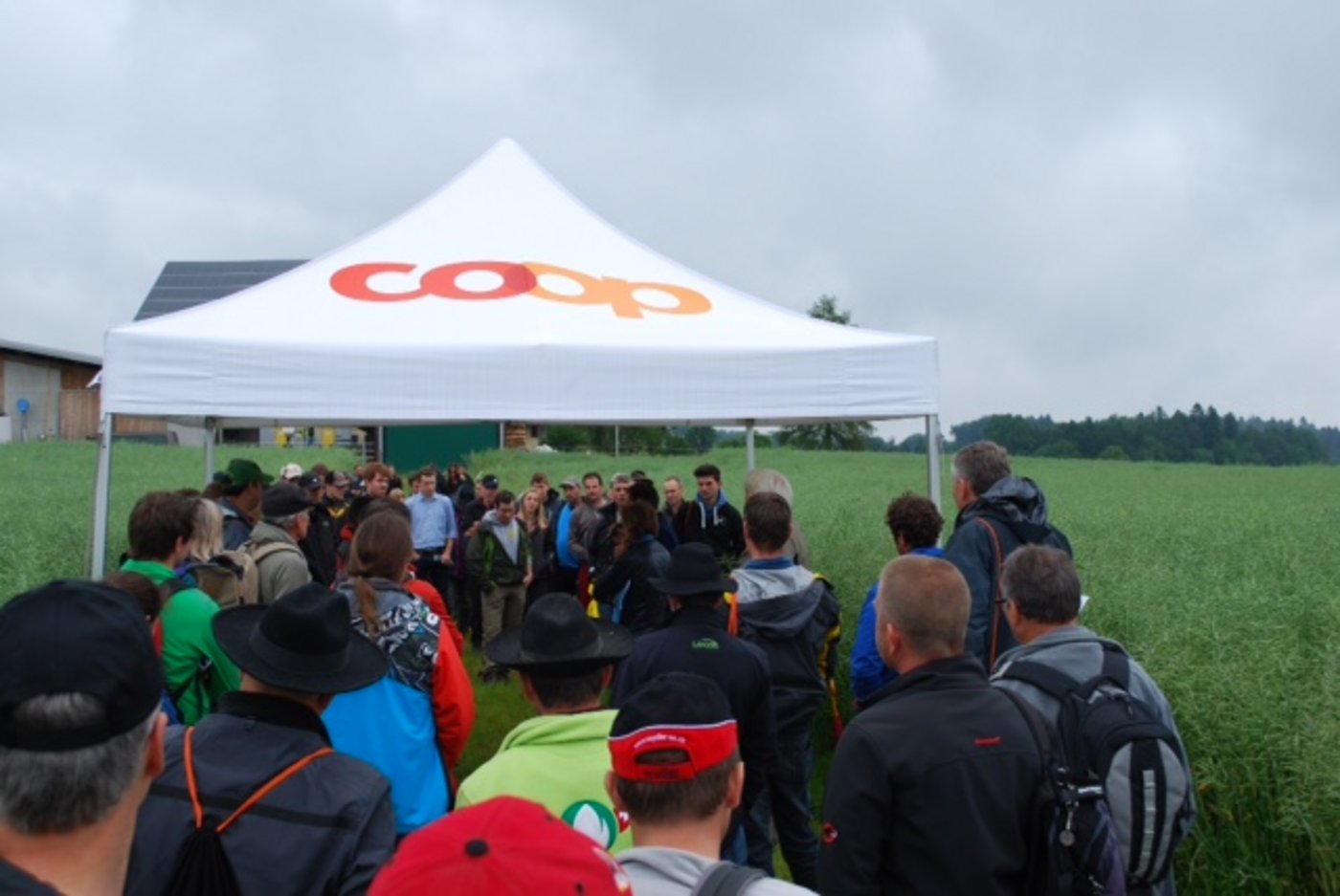 Betriebsleiter Urs Knecht informiert über den Rapsanbau. Dieses Jahr hat er keine Rapsglanzkäferbekämpfung durchgeführt. "Eine schöne Visitenkarte, aber nicht Standard", erklärt er. (Bilder Katharina Scheuner)