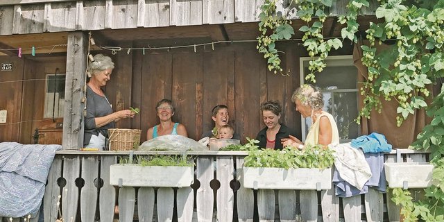 Die Kräuterfrauen bei der Arbeit: Christa Peterli (treue Sommerhilfe), Birgit Kratt, Nathalie Graf mit Klein-Marie, Nadia Geiser (Praktikantin), Christa Wellauer (treue Sommerhilfe).(Bilder Alexandra Stückelberger)