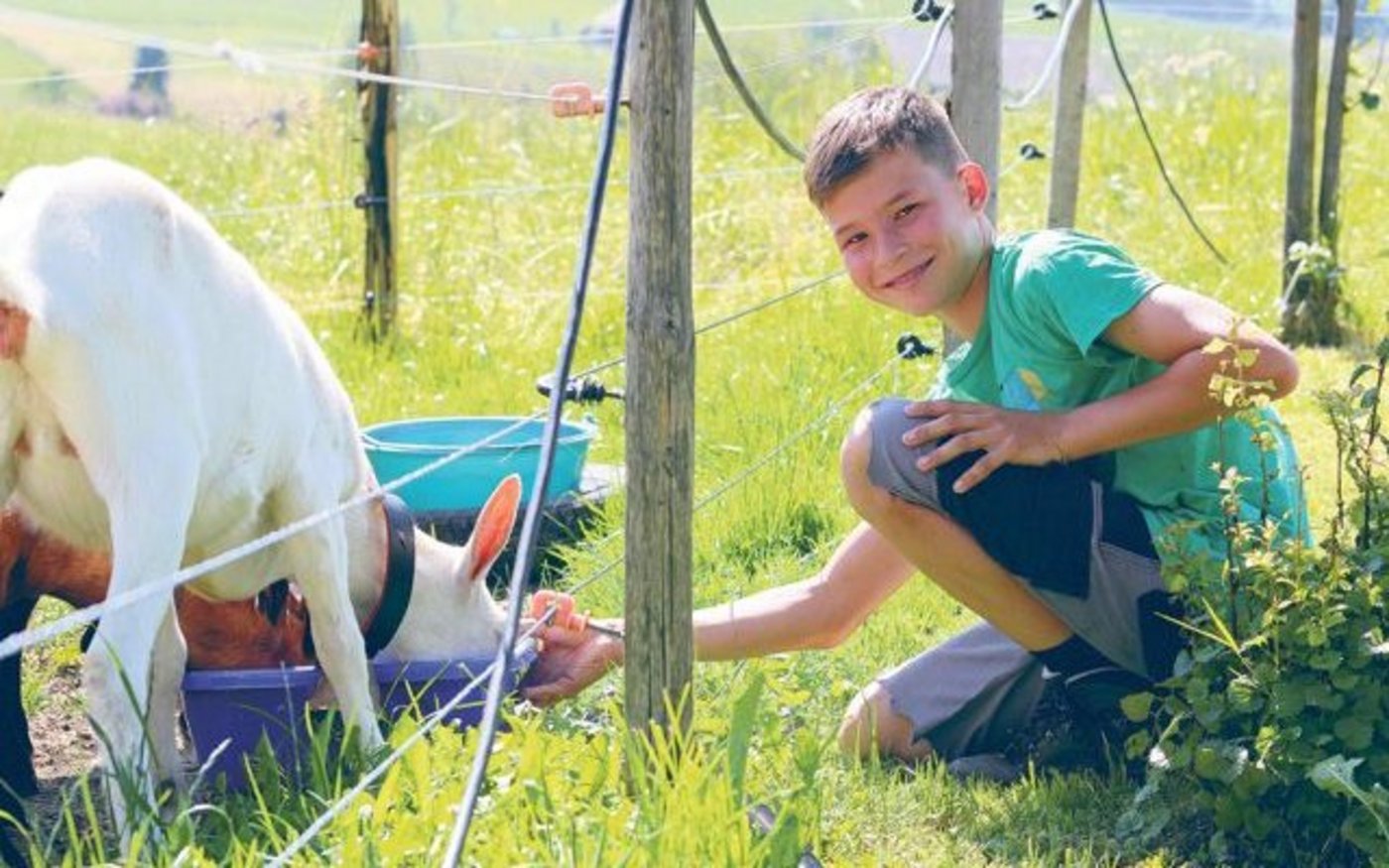 Michael will Bauer werden. Die Ziege ist ein Preis von einem Schwingfest. (Bilder Simone Barth)