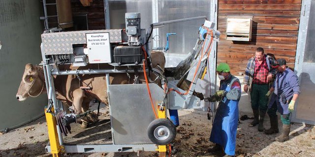 Beat Arnold bei der «digitalen» Klauenpflege auf einem Betrieb. (Bild zVg)