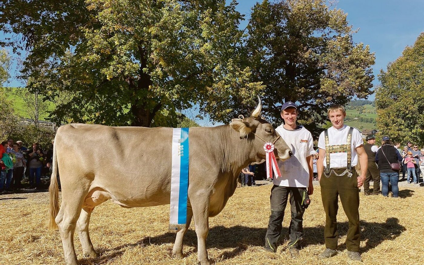 Miss OB 2022 wurde die KB-Stierenmutter Urania, eine Lordan-Tochter von Alois Bürgler, Nesslau.