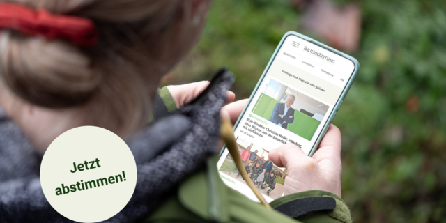 Frau fotografiert von hinten schaut auf ihr Mobiltelefon, Bildschirm voll ersichtlich