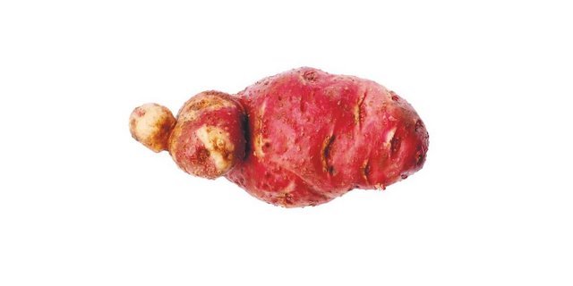 Kartoffeln müssen nicht schön sein, sondern gut schmecken. (Bild: Eveline Dudda)