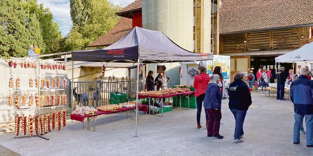 Hofanlässe sollten über die Betriebshaftpflichtversicherung gedeckt werden. Diese übernimmt mögliche finanzielle Schäden, wenn ein Besucher verunfallt. (Bild Simone Barth)