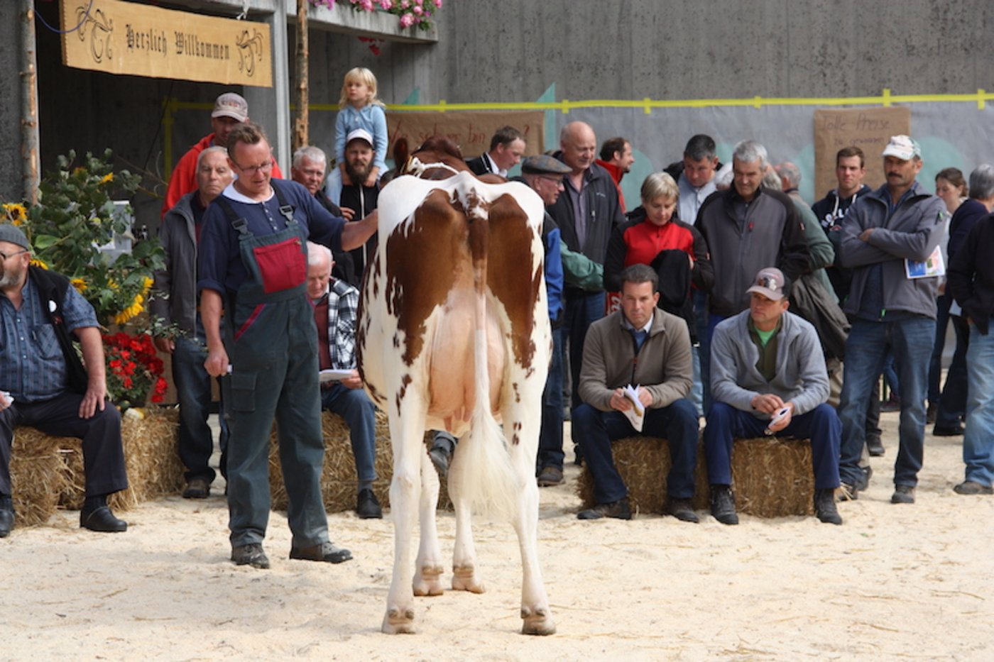 Beständeschauen stossen auf grosses Interesse.  Auch in den Kreisen der Experten sind sie beliebt. (Symbolbild aw)
