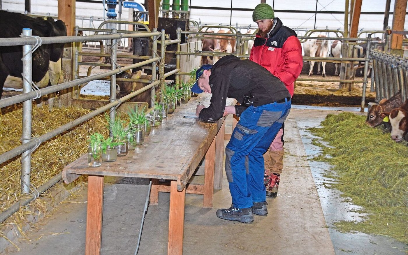 An einem weiteren Posten wurden die Pflanzenkenntnisse der angehenden Landwirtinnen und Landwirte geprüft. 