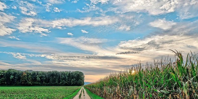 Wo führt der Weg der Schweizer Landwirtschaft hin und welche Rolle spielt dabei die Forschung?