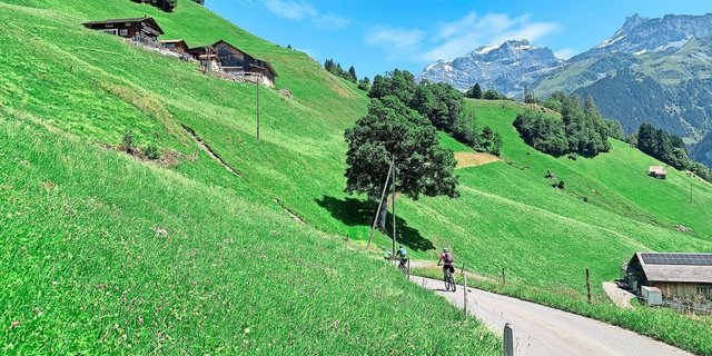 Kleinflächig, tiefere Tierzahlen, aber arbeitsintensiv. Das zeichnet viele Urner Betriebe aus. Das Bild zeigt die steilen Lagen im Schächental. 