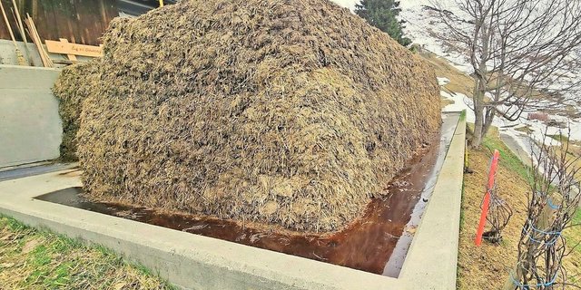 Nicht jeder Miststock präsentierte sich im vergangenen Jahr beim Besuch der Kontrolleure so perfekt. Sickersaftaustritt bei der Hofdüngerlagerung schadet dem Image der Landwirtschaft.