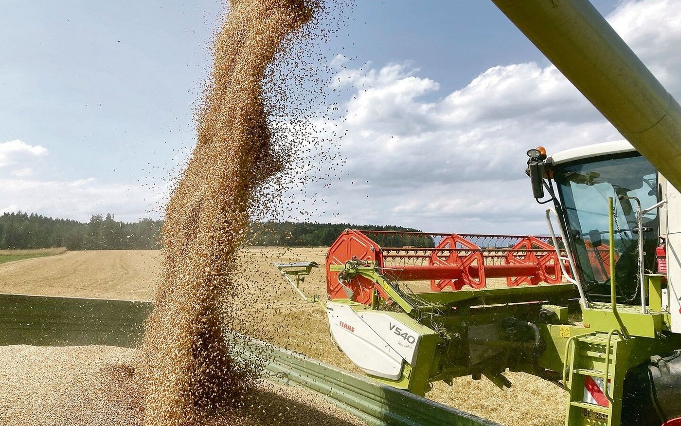 Volle Wagen beim Weizen. Im Jahr 2023 lief es für den einen oder die andere beim Weizen gut. Andere Kulturen schnitten dafür weniger erfreulich ab. 