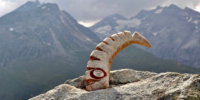 Das Capricorn-Brot von Alpinavera, der Marketing-Plattform für regionale Landwirtschafts-Produkte aus Graubünden, Uri, Glarus und Tessin. Bild: zVg