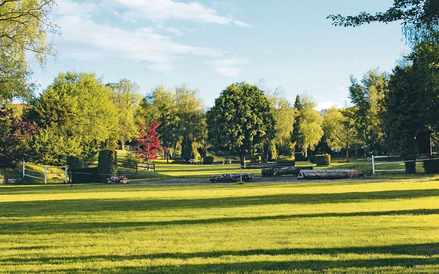 Der geschichtlich wertvolle Springgarten im NPZ weist einen hohen Biodiversitätswert aus. Hier sollen schon bald Bauten entstehen, die Fläche ist eingezont.  