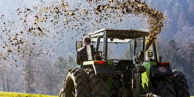 Laut Umweltbericht wird viel mehr Stickstoff in die Umwelt eingebracht, als die Ökosysteme ertragen. (Renée Kunz/landwirtschaft.ch)