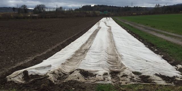 Auf diesem Feld richteten die Unbekannten mit dem Dumper Flurschaden an. Dazu kamen ... (Bilder Kapo ZH)
