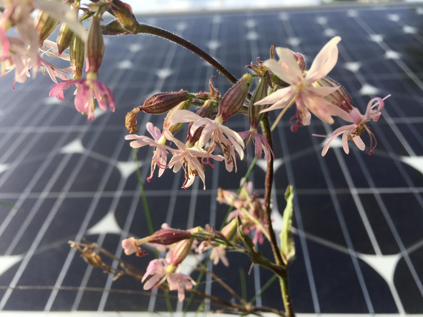 Die revidierten Verordnungen treten per 1. Januar 2021 in Kraft. (Bild jsc)