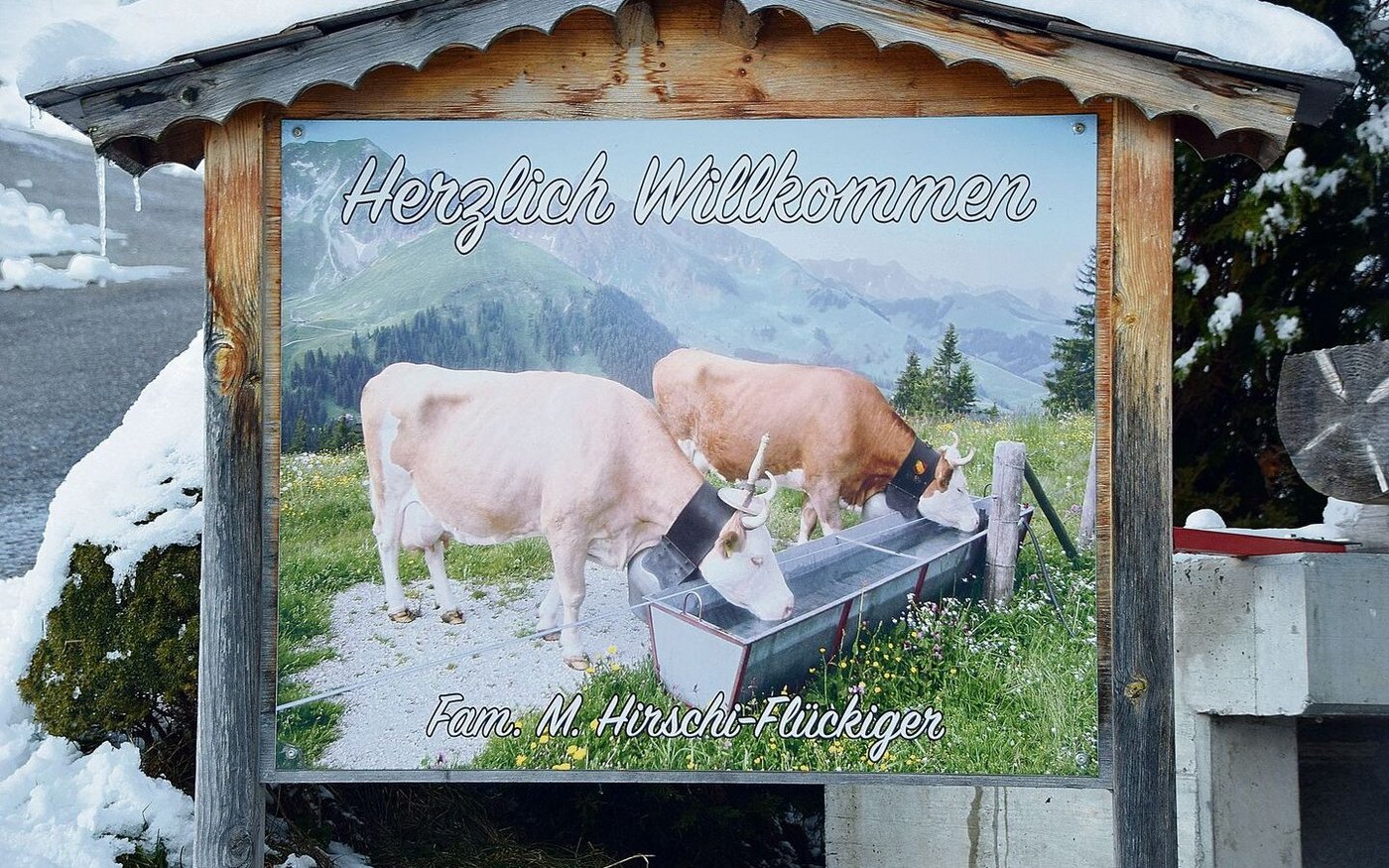 Der Betrieb von Hirschis befindet sich in Rüschegg Gambach BE auf 1000 m ü. M. in der Bergzone II. Es ist ein reiner Milchwirtschafts- und Zuchtbetrieb.