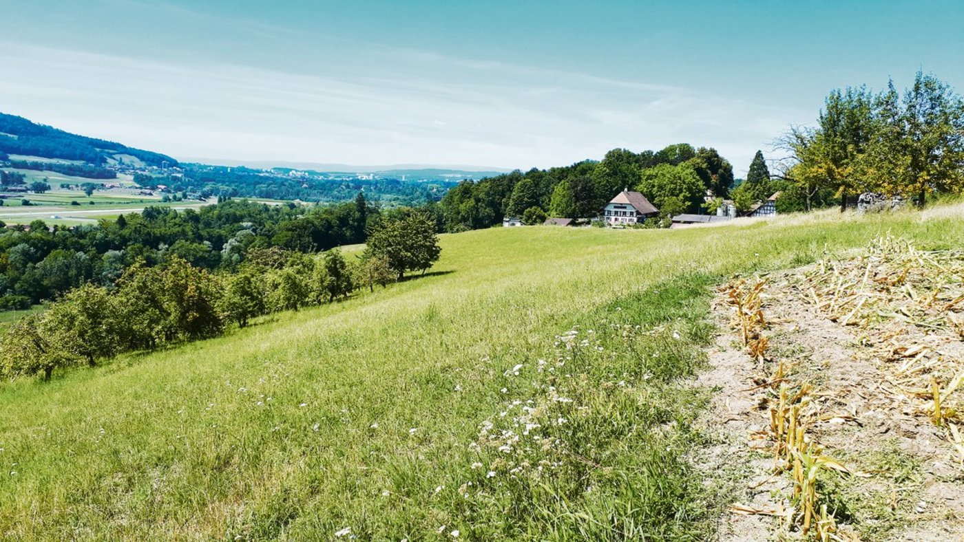 Bauernhöfe rücken ins Zentrum, wenn es ums Klima geht. Als Betroffene, als Mitverursacher aber auch als Lösung. Ein Pilotprojekt am Ebenrain hat zum Ziel, die Landwirtschaft im Bereich des Humusaufbaus gezielt zu unterstützen. (Bild sb)