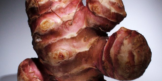 Der Name Topinambur stammt vom Indianerstamm der Topinambá. (Bild cc)