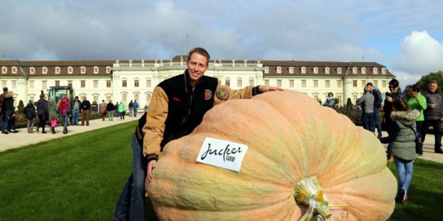 Mathias Willemijns mit seinem Riesenkürbis, der ihm den Weltrekord einbrachte. (Bild Blühendes Barock)