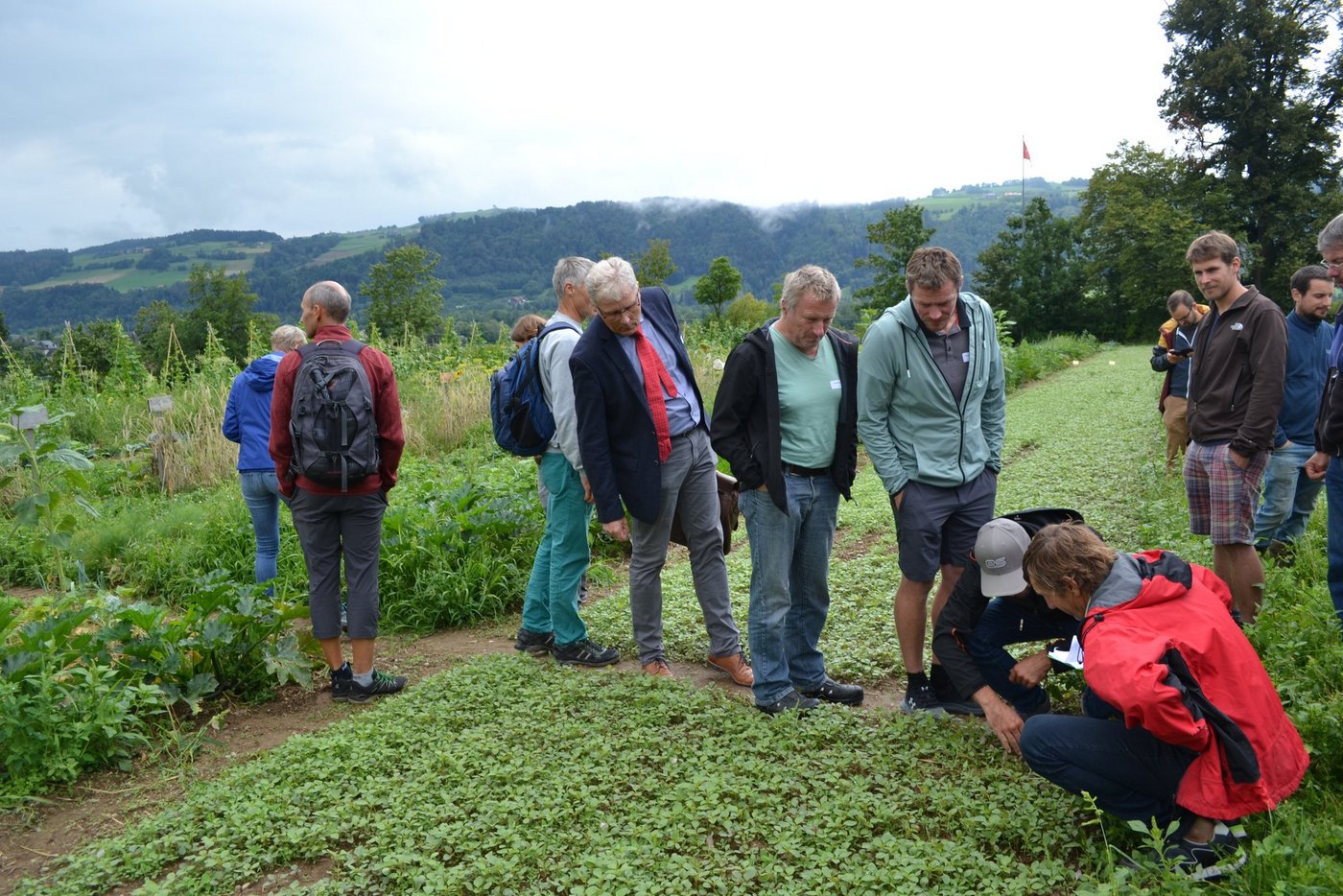 Das Interesse an neuen, organischen Düngemittel ist gross. Am Erfahrungsaustausch traf die Wissenschaft auf Stimmen aus der Praxis. 