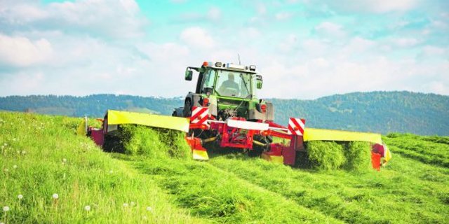 Für eine erfolgreiche Futterzubereitung und Ernte ist auch der Pflanzenbestand von Bedeutung. (Bild Fotolia)