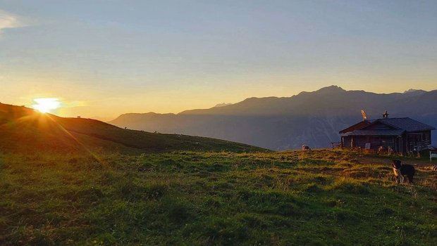 Stimmungsvoller Moment auf der Alp Oberst in Schams.                   