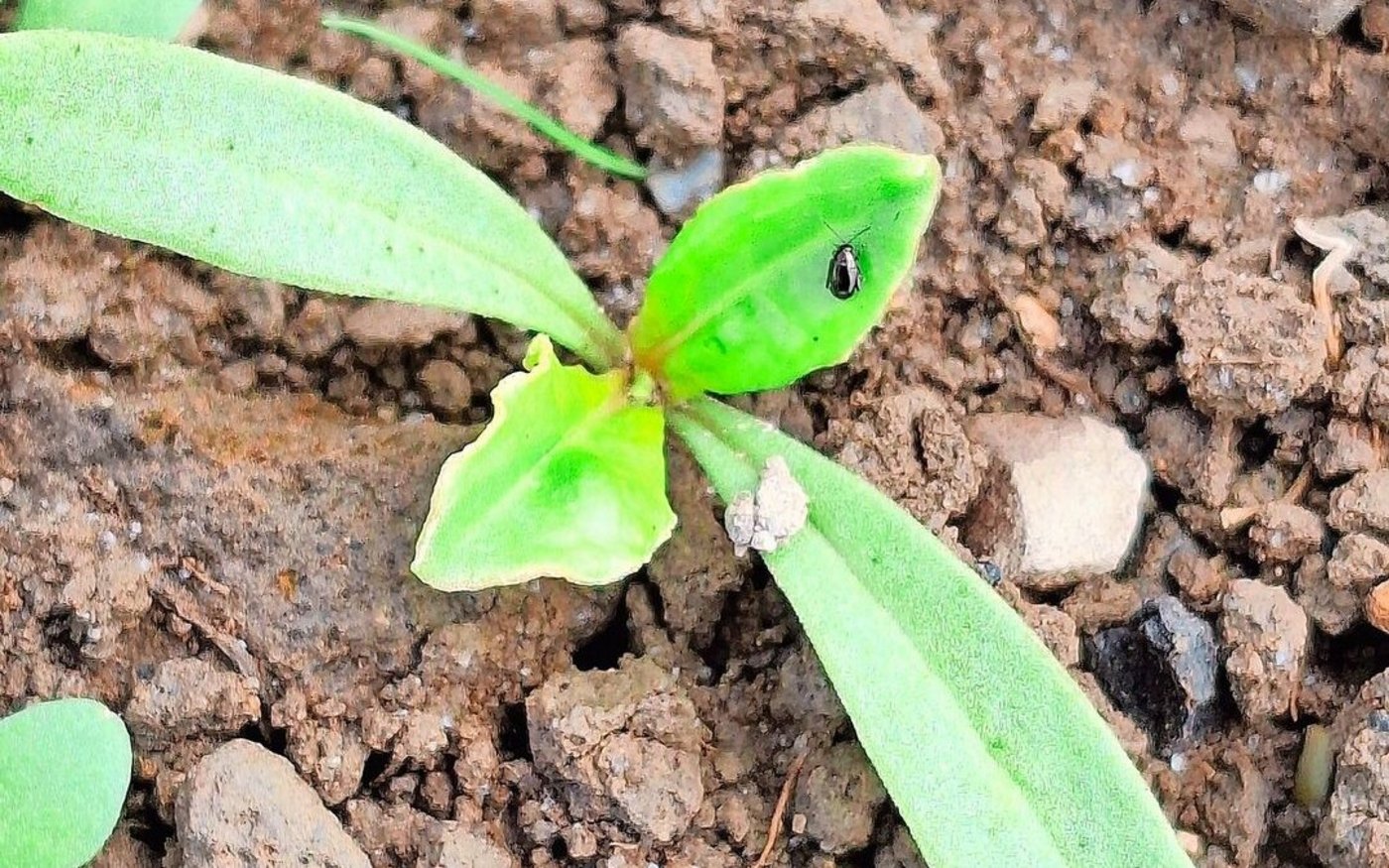 Legende bis zu Zweizeilig möglich Legende Legende Legende Legende Legende Legende Legende Legende Legende