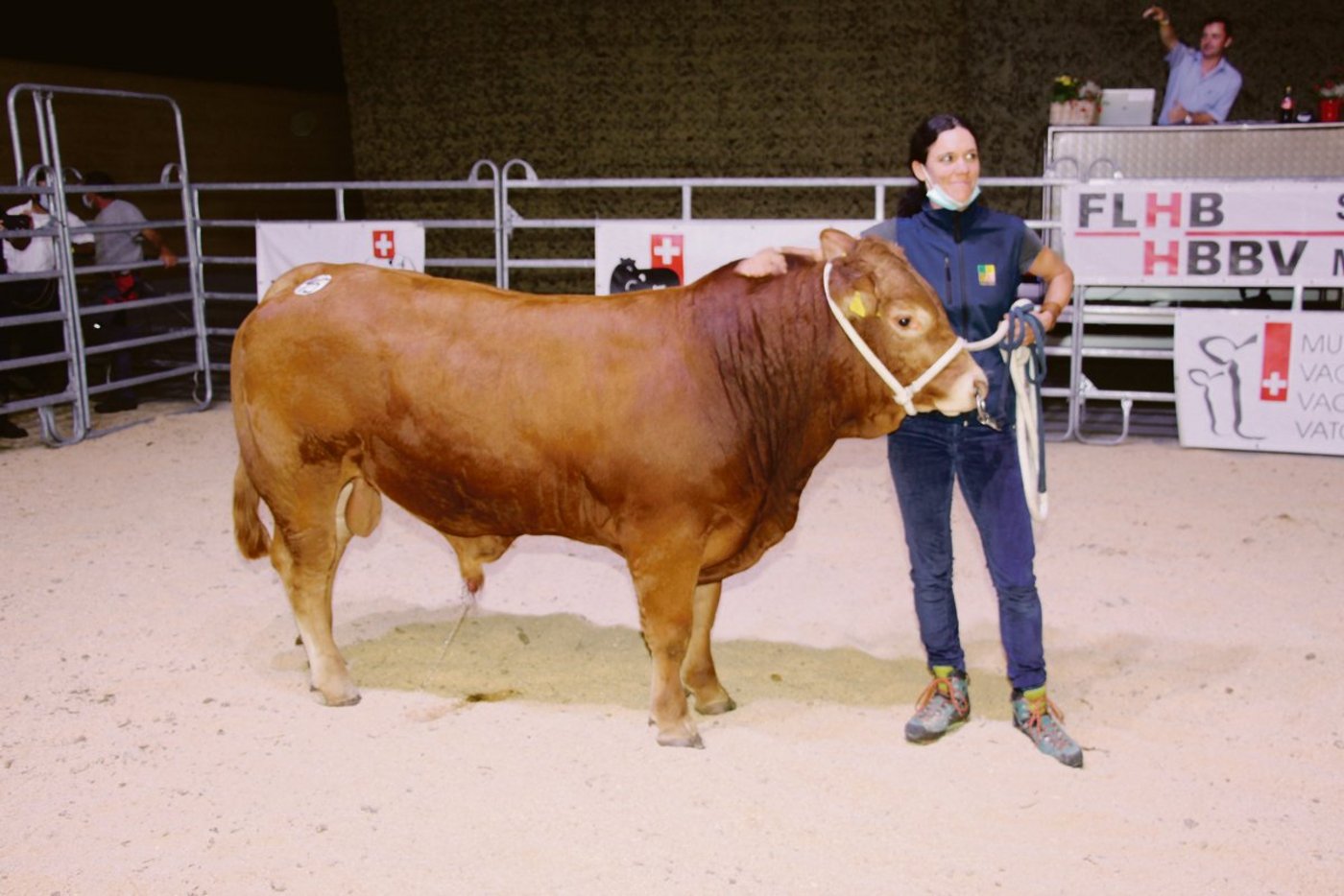 Den 14-monatigen Stier «Oberhof’s Merlo» von Céline Haas aus Ohmstal kaufte Swissgenetics für 8800  Franken.(Bild Hans Rüssli)