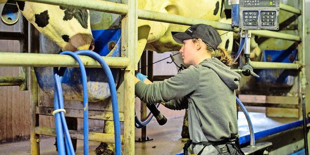 Immer mehr Frauen wollen Landwirtin werden. Der Anteil an den Lernenden liegt je nach Kanton teils schon bei 20 Prozent. Das Bild zeigt Jasmin Kretz aus Schongau, die dieses Jahr Lehrling des Jahres wurde. 