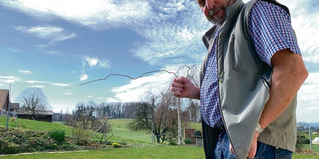 Xaver Schmidlin zeigt in seinem Garten beispielhaft die Suche nach Wasser mit einer Rute. Dank telepathischer Fähigkeiten erkennt er Wasservorkommen auch aus der Ferne. (Bilder Josef Scherer)