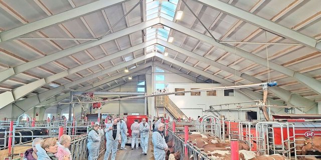 Zu Besuch bei Berufskollegen: Die Teilnehmenden der Lely-Reise haben einen Einblick in mehrere norwegische Betriebe erhalten.