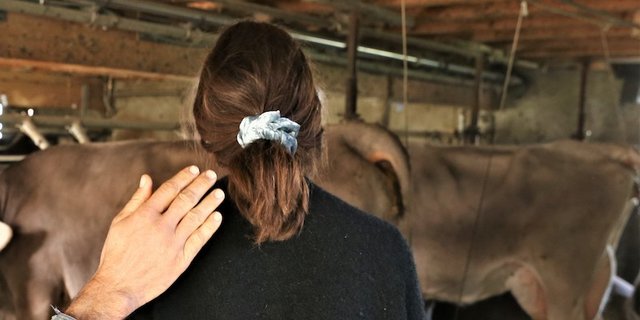 Opfer von häuslicher Gewalt gibt es auch auf Bauernhöfen. Verbreiteter scheinen jedoch andere Arten der Unterdrückung,  wie beispielsweise die Kommunikationsverweigerung oder die Verweigerung des Mitspracherechts. (Symbolbild Reto Betschart)