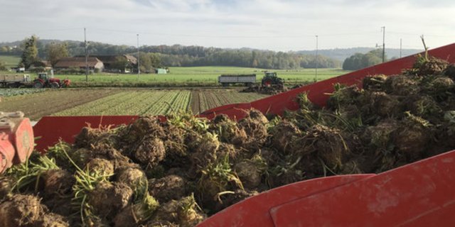 Unter den geförderten Energieeffizienz-Projekten ist auch Seeland Bio. (Bild seeland-bio.ch)
