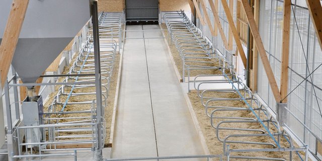 2020 wurde im Aargau auch wieder in neue Milchviehställe investiert – vor allem in grosse Einheiten. (Symbolbild sgi)
