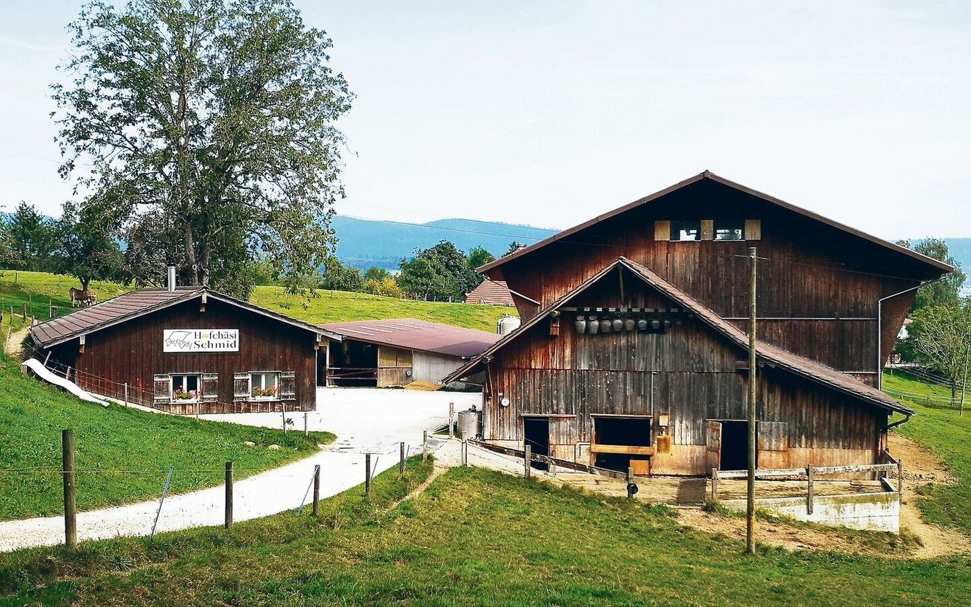 Neu gestartet auf bestens bekanntem Terrain: Francesco De Benedetto fühlt sich daheim auf dem heimeligen, urchigen Bauernhof Hofchäsi Schmid in Gretzenbach. 