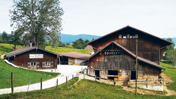 Neu gestartet auf bestens bekanntem Terrain: Francesco De Benedetto fühlt sich daheim auf dem heimeligen, urchigen Bauernhof Hofchäsi Schmid in Gretzenbach. 