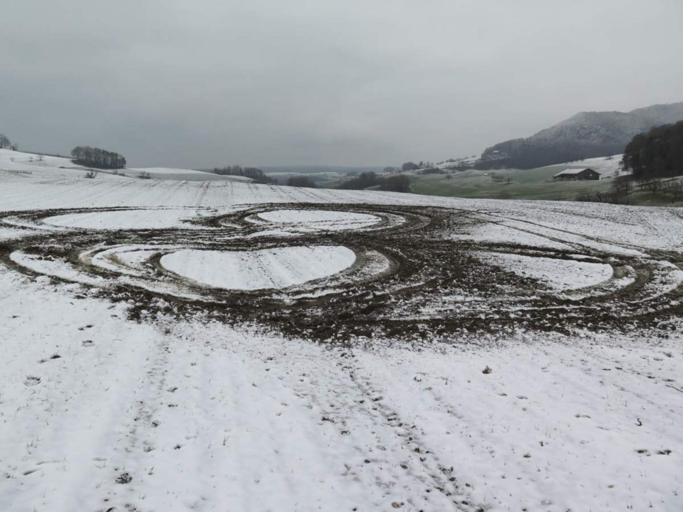 Bei diesem Anblick kommt Wut auf: Der Schaden auf diesem Feld in Zeglingen BL wurde mit Absicht verursacht. (Bild Kapo BL)
