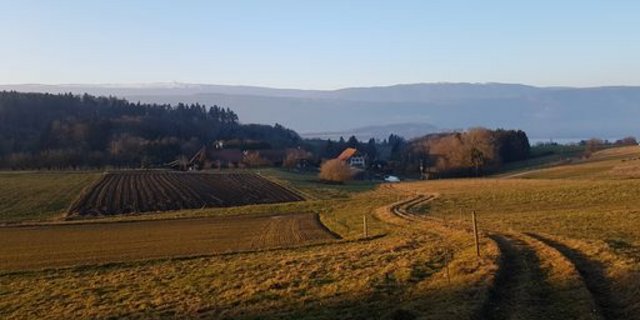 Die Bio-Offensive im Kanton Bern läuft bisher erfolgreich. (Symbolbild/ji)